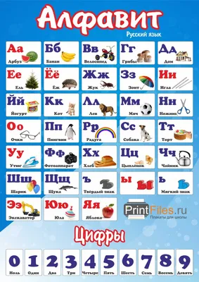 ТМ Открытая планета Плакат Алфавит азбука русский обучающий детский на  стену А2