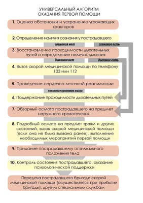 Алгоритмы, инструкции и учебные пособия по первой помощи