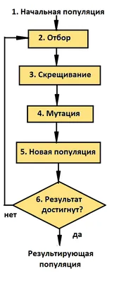 Файл:Генетический алгоритм.png — Википедия