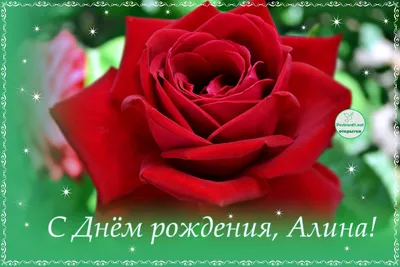 Алиночка! С днём рождения! Блестящая картинка с букетом красных роз.  Красные розы. Букет.