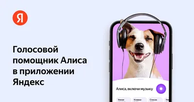 Скрытые функции Яндекс Алисы - YouTube