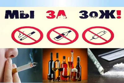 Вред алкоголя | Центр ФЗОЖ по СКО