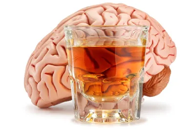 Алкоголь: полезно или вредно - Urosvit