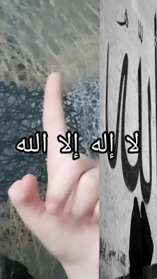 الله أكبر ☝ Аллах е най-Велик .. - Джамия с.Брезница | Facebook