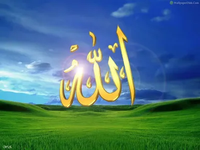 Арабская каллиграфия слова \"Аллах\" - и оно произносится: Аллах, Бог  Великий, на арабском языке Векторное изображение ©samiishere11 318486160