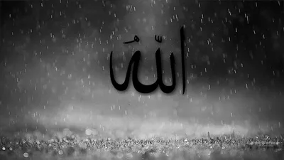 Арабская исламская каллиграфия орнамент вектор Аллах, арабеск на белом фоне  Stock Vector | Adobe Stock