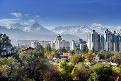 Улица Алматы с видом на горы, …» — создано в Шедевруме