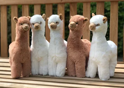 Stanford's Alpaca shows that OpenAI may have a problem