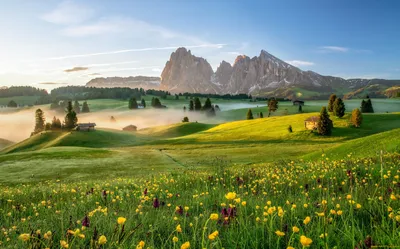 Картинки alps, meadows, sunset, mountains, landscape, альпы, луга, закат,  горы, пейзаж,  небо,зарево,снег,лес,кроны,цветы,фиолетовые,красные,земля,листва,кустарник,красота  - обои 1366x768, картинка №153030