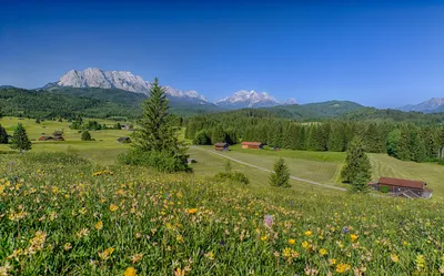 Альпийские луга на курорте Цель-ам-Зее, Австрия - обои для рабочего стола,  картинки, фото
