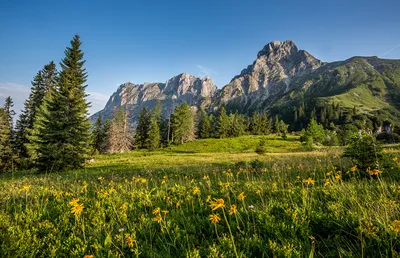 Альпийские Луга красная Поляна (77 фото) - фото - картинки и рисунки:  скачать бесплатно
