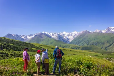 Внутренняя Монголия альпийские луга зеленый пейзаж фотография карта Фон И  картинка для бесплатной загрузки - Pngtree