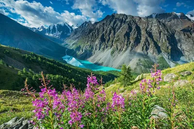 Горный Алтай - горная магия России: природа, культура и спорт на высоте |  Независимый оптимист | Дзен