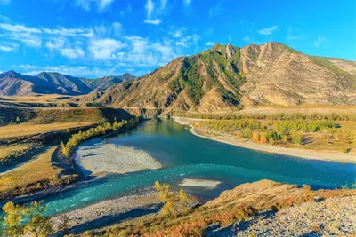 Степной и Горный Алтай (8 дней + авиа) - Экскурсионные туры на Алтай