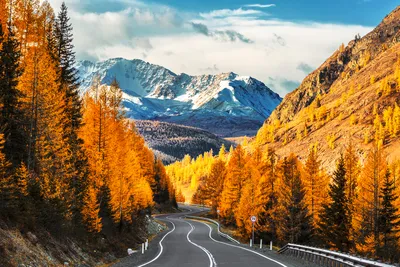 Алтай осенью | Altai Travel Guide