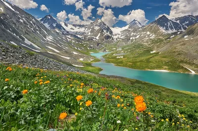 Мультинские озера в горном Алтае: Среднее, Верхнее и Нижнее озера | Как  добраться, где остановиться