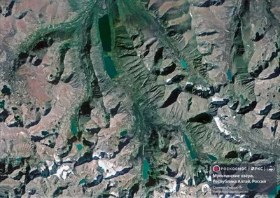 Алтайский край — Википедия