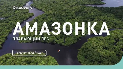 Новейшие амазонки. Почему они стали иконами и как их использовали Гитлер и  Голливуд - Ведомости.Город