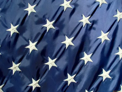 Голова орла на фоне американского флага - обои на телефон
