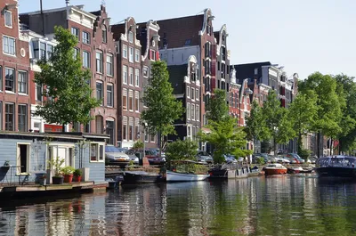 В районе Красных фонарей в Амстердаме – новые запреты для туристов |  Ассоциация Туроператоров