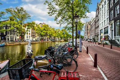 Амстердам обои для телефона, HD заставки и картинки на экран блокировки  720x1280 | Akspic