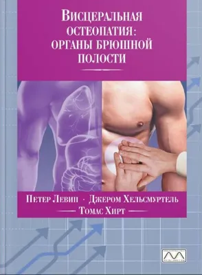 Женская анатомия брюшной полости и внутренних органов, компьютерная  иллюстрация . — Цифровая, Кишечник - Stock Photo | #308619626