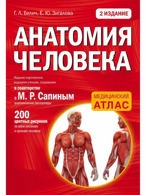 Билич Анатомия человека на русском языке Visual Human Anatomy Russian Book  | eBay