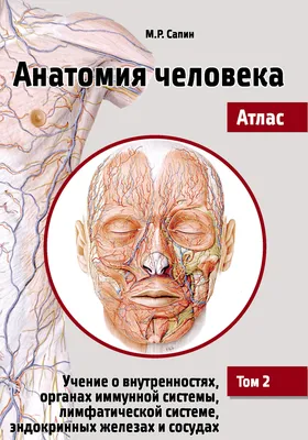 Анатомия человека: атлас. В 3-х томах Том 2 . Внутренние органы Билич Г.Л.,  Крыжановский В.А. 9785970425428