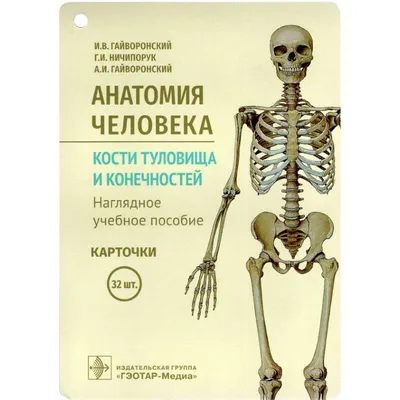 Анатомия человека — купить книги на русском языке в Book City