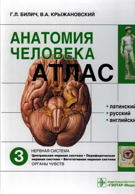 Анатомия человека. Учебник в 3-х томах. Том 2. Спланхнология и  сердечно-сосудистая система, , ГЭОТАР-Медиа купить книгу 978-5-9704-2885-6  – Лавка Бабуин, Киев, Украина