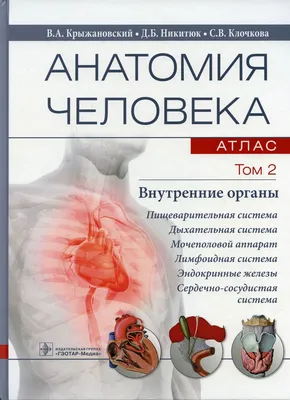Книга Анатомия человека. Самая полная современная энциклопедия - купить в  ТД Эксмо, цена на Мегамаркет