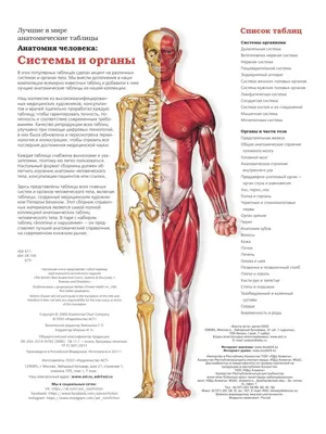 анатомия человека | Кувшинки, Книги, Анатомия человека
