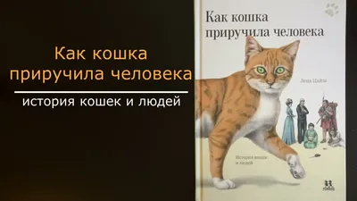 Анатомия собак и кошек