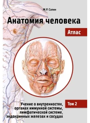 Читать статья №2: методы визуализации в анатомии человека от Логосферы на  medpublishing