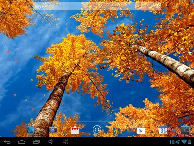 Скачать Прекрасная осень Живые обои FREE 2.0.1 для Android