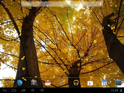 Скачать Осень Живые Обои 1.0.10 для Android