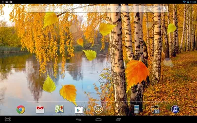 сотовый телефон в лесу с изображением животных в начале осени, Приложение  для 3d изображений на Android фон картинки и Фото для бесплатной загрузки