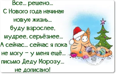 Анекдоты дня: лучшие шутки и мемы про Старый Новый год | OBOZ.UA