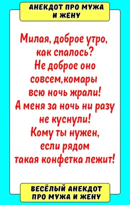 Лучшие короткие анекдоты: более 50 шуток на разные темы