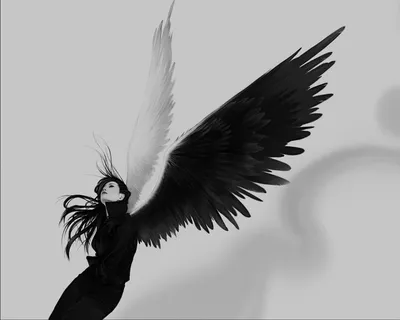 Чёрные крылья ангела для фотосессий в интернет-магазине Ярмарка Мастеров по  цене 11500 ₽ – M345URU | Реквизит для аниматоров, Сочи - доставка по России