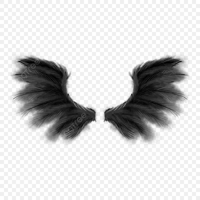 Фотосессия с черными крыльями: воплощение таинственности и красоты | Нелли  Фотограф | Дзен