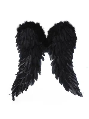 Черный ангел дьявол дьявол перо крылья PNG , пух Перо, крыло, черный PNG  картинки и пнг PSD рисунок для бесплатной загрузки