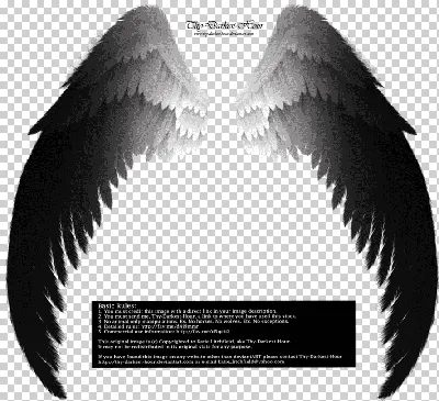👼 Черные крылья ангела WG-01 👗 Платья в аренду и напрокат Story Dress  Москва