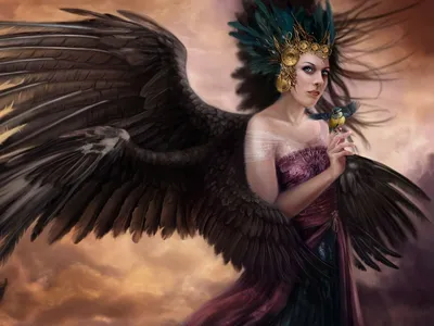 👼 Черные крылья ангела WG-01 👗 Платья в аренду и напрокат Story Dress  Москва