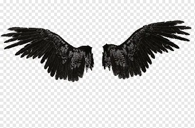 Ангел с измученными черными крыльями Стоковое Изображение - изображение  насчитывающей развилки, глаза: 173620685