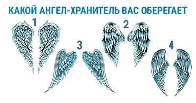 Выберите крылья и узнайте имя своего ангела-хранителя — Новости Шымкента
