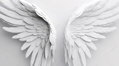 Эскиз татуировки ангельские крылья Stock Vector | Adobe Stock