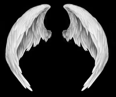 крылья ангела 2 картинки, ангельские крылья 2 материал скачать, скачать  крылья ангела 2, крылья ангела 2 фон картинки и Фото для бесплатной загрузки