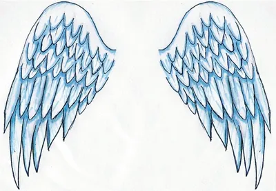 ангельские крылья в 3d потрясающее белое оперение на белом фоне, крылья  ангела, крылья птицы, крылья фон картинки и Фото для бесплатной загрузки