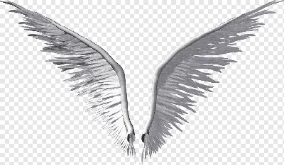 Ангельские Крылья Свет Рендеринг стоковое фото ©rolffimages 489709382